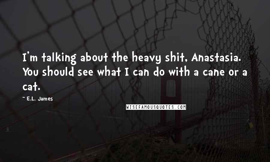 E.L. James Quotes: I'm talking about the heavy shit, Anastasia. You should see what I can do with a cane or a cat.