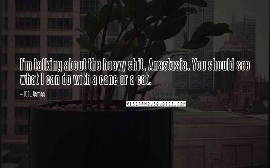 E.L. James Quotes: I'm talking about the heavy shit, Anastasia. You should see what I can do with a cane or a cat.