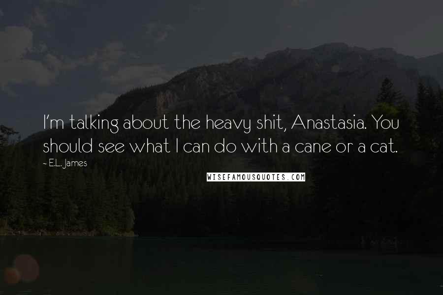 E.L. James Quotes: I'm talking about the heavy shit, Anastasia. You should see what I can do with a cane or a cat.