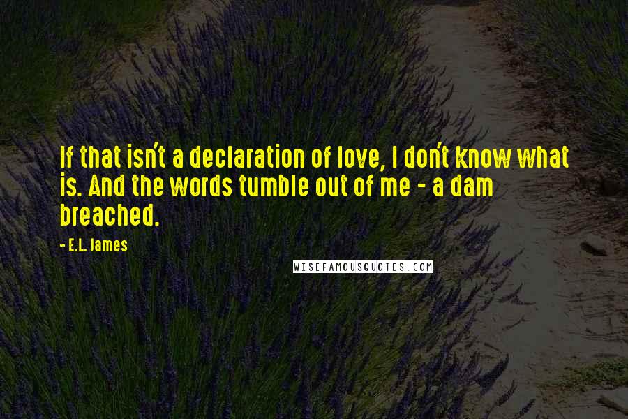 E.L. James Quotes: If that isn't a declaration of love, I don't know what is. And the words tumble out of me - a dam breached.