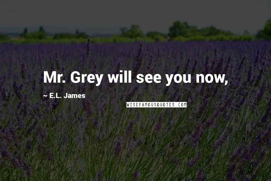 E.L. James Quotes: Mr. Grey will see you now,