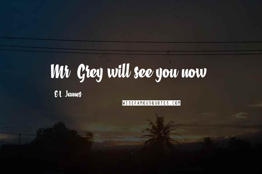 E.L. James Quotes: Mr. Grey will see you now,