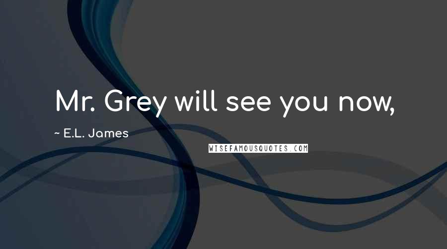 E.L. James Quotes: Mr. Grey will see you now,