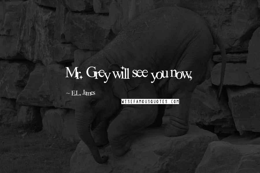 E.L. James Quotes: Mr. Grey will see you now,