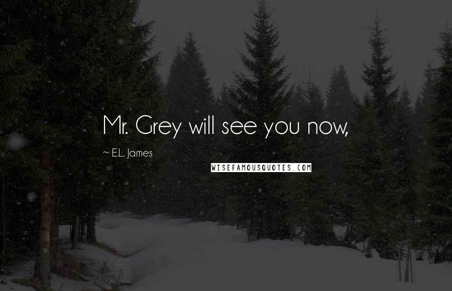 E.L. James Quotes: Mr. Grey will see you now,