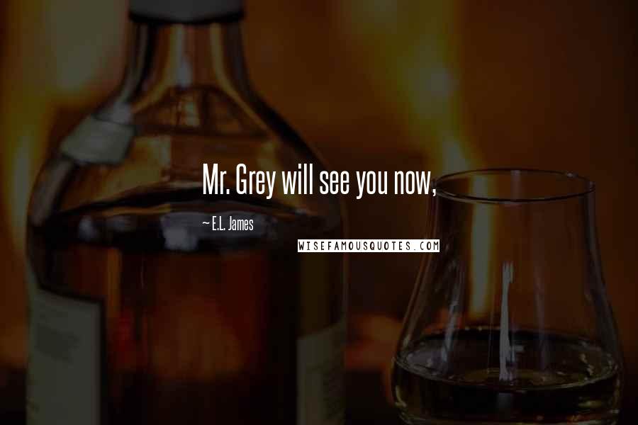 E.L. James Quotes: Mr. Grey will see you now,