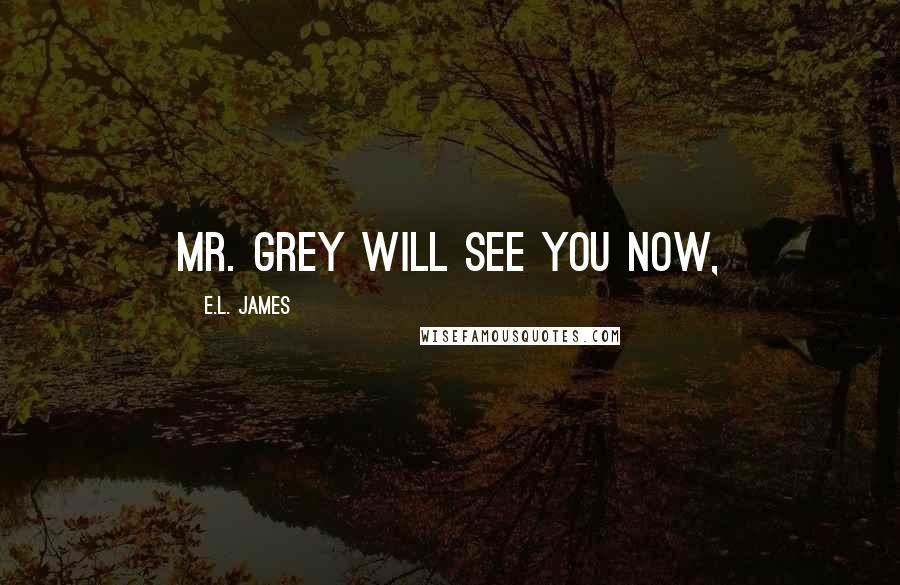 E.L. James Quotes: Mr. Grey will see you now,