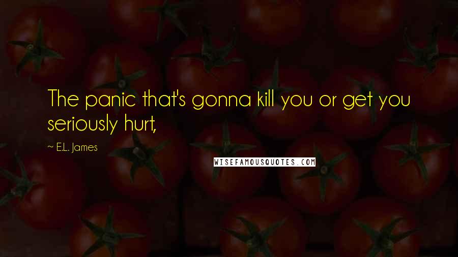 E.L. James Quotes: The panic that's gonna kill you or get you seriously hurt,