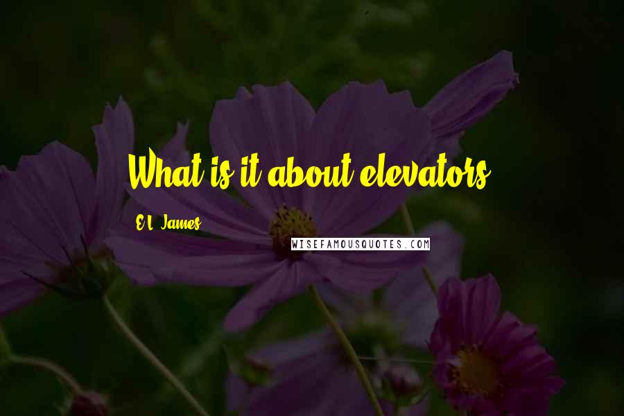E.L. James Quotes: What is it about elevators?
