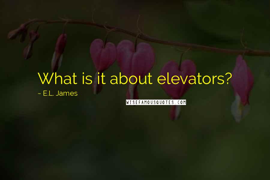 E.L. James Quotes: What is it about elevators?