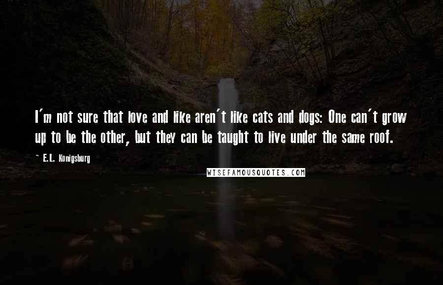 E.L. Konigsburg Quotes: I'm not sure that love and like aren't like cats and dogs: One can't grow up to be the other, but they can be taught to live under the same roof.