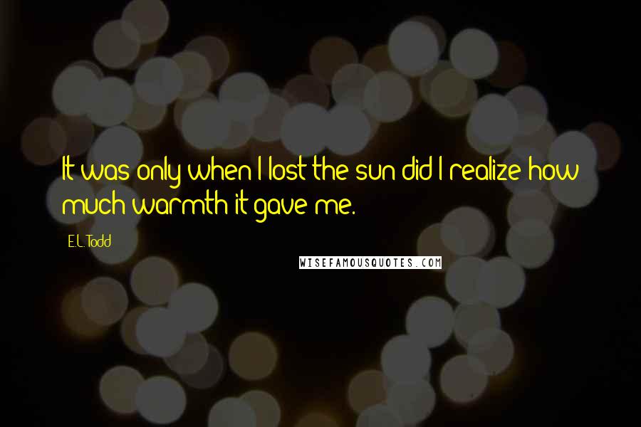 E.L. Todd Quotes: It was only when I lost the sun did I realize how much warmth it gave me.