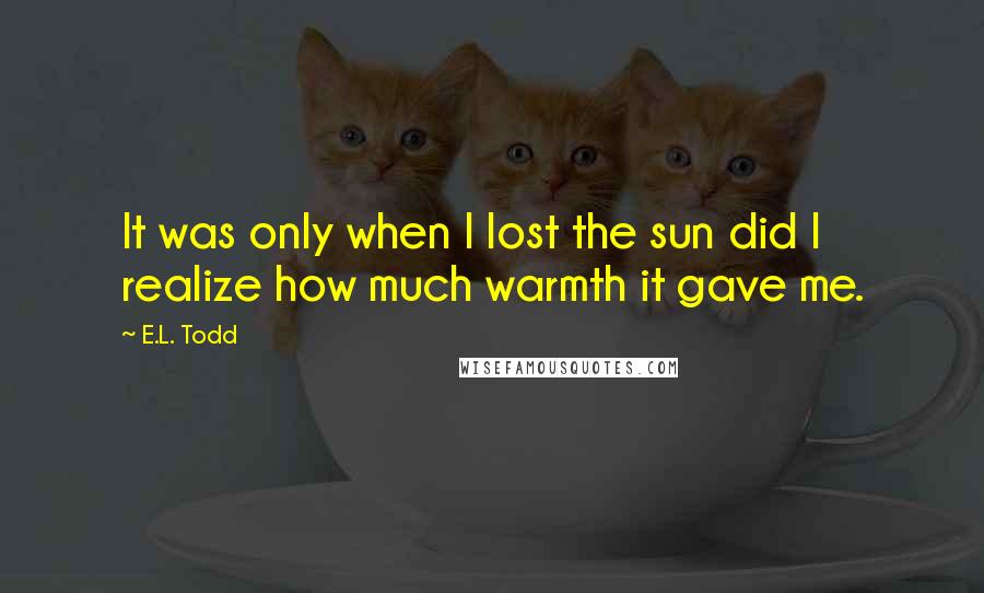 E.L. Todd Quotes: It was only when I lost the sun did I realize how much warmth it gave me.