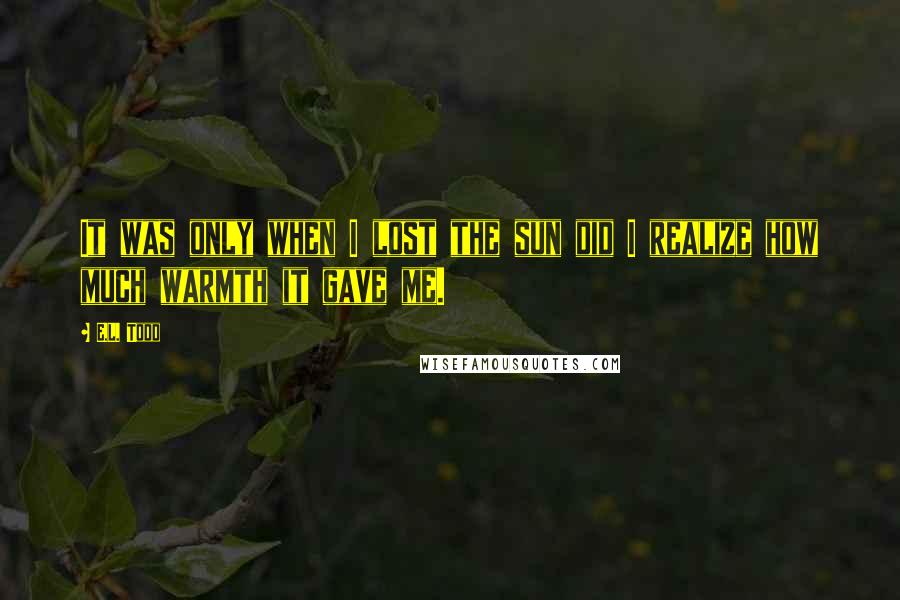 E.L. Todd Quotes: It was only when I lost the sun did I realize how much warmth it gave me.