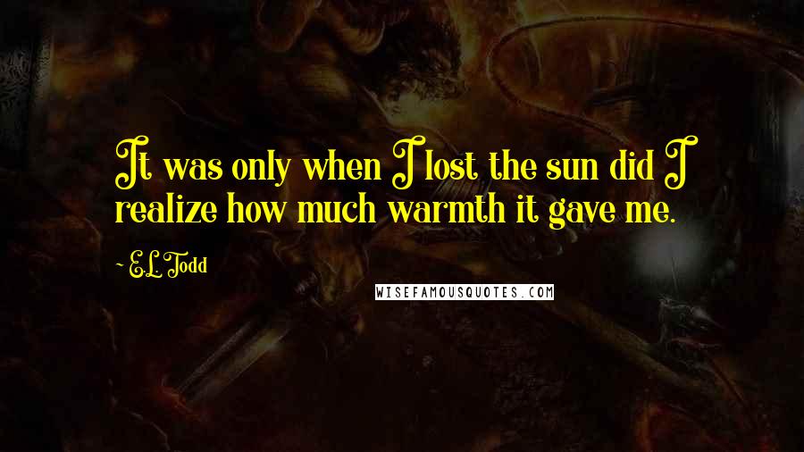 E.L. Todd Quotes: It was only when I lost the sun did I realize how much warmth it gave me.