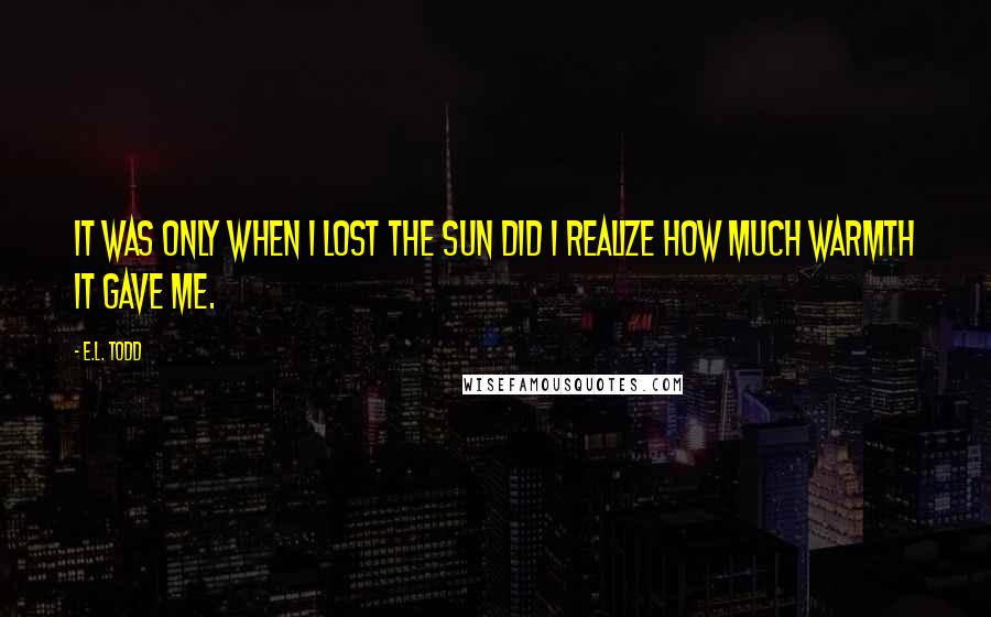 E.L. Todd Quotes: It was only when I lost the sun did I realize how much warmth it gave me.