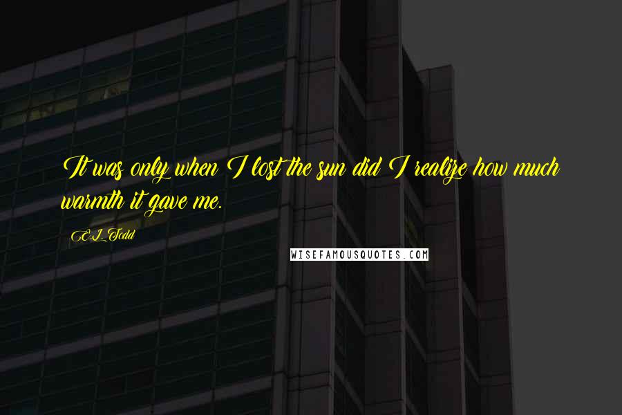 E.L. Todd Quotes: It was only when I lost the sun did I realize how much warmth it gave me.