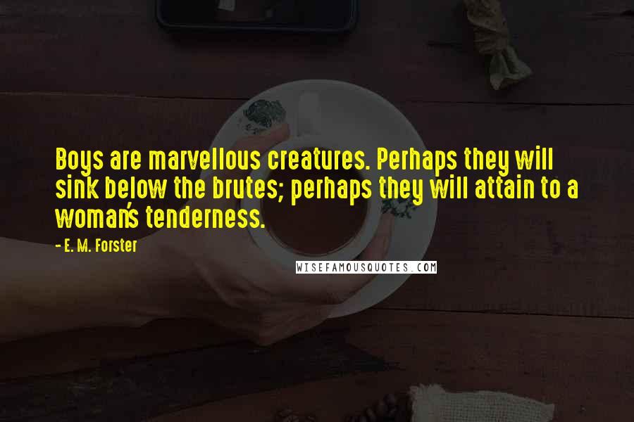 E. M. Forster Quotes: Boys are marvellous creatures. Perhaps they will sink below the brutes; perhaps they will attain to a woman's tenderness.