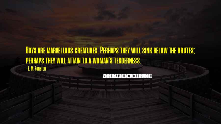 E. M. Forster Quotes: Boys are marvellous creatures. Perhaps they will sink below the brutes; perhaps they will attain to a woman's tenderness.