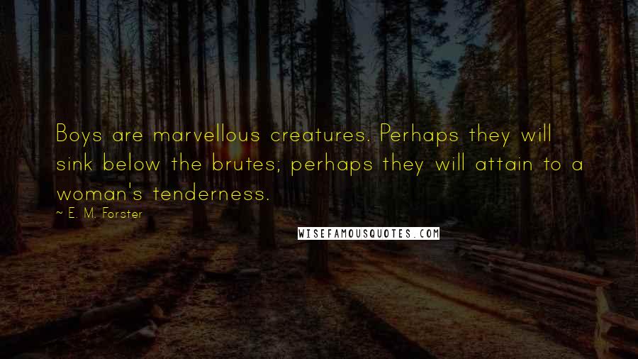 E. M. Forster Quotes: Boys are marvellous creatures. Perhaps they will sink below the brutes; perhaps they will attain to a woman's tenderness.