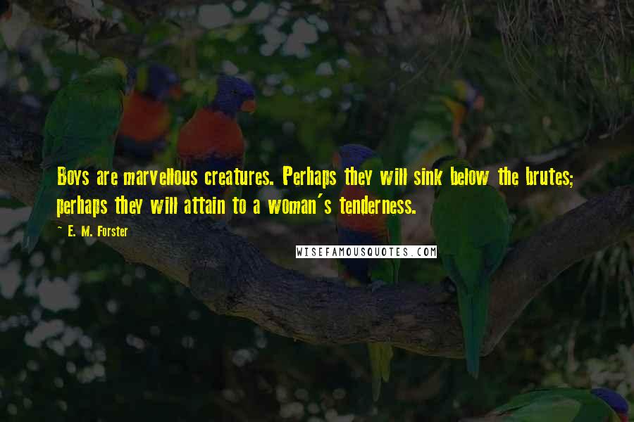 E. M. Forster Quotes: Boys are marvellous creatures. Perhaps they will sink below the brutes; perhaps they will attain to a woman's tenderness.