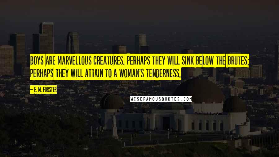 E. M. Forster Quotes: Boys are marvellous creatures. Perhaps they will sink below the brutes; perhaps they will attain to a woman's tenderness.