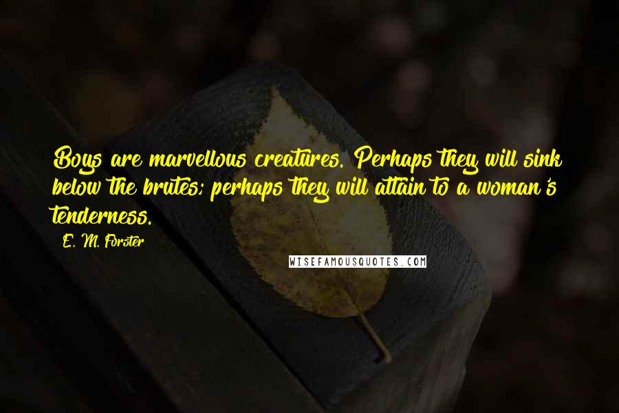 E. M. Forster Quotes: Boys are marvellous creatures. Perhaps they will sink below the brutes; perhaps they will attain to a woman's tenderness.