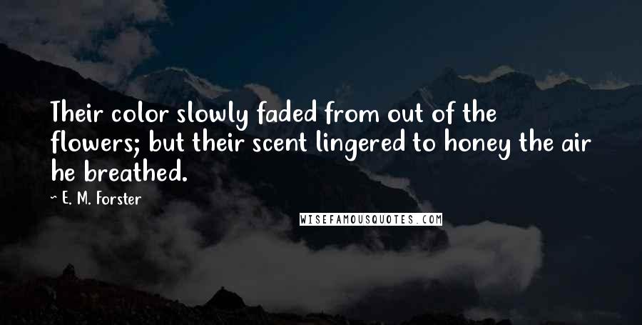 E. M. Forster Quotes: Their color slowly faded from out of the flowers; but their scent lingered to honey the air he breathed.