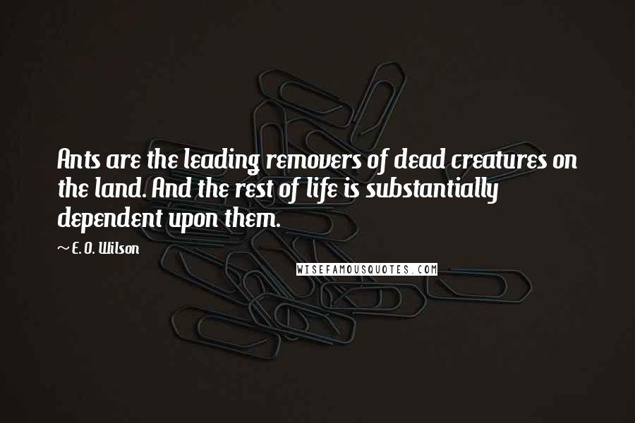 E. O. Wilson Quotes: Ants are the leading removers of dead creatures on the land. And the rest of life is substantially dependent upon them.