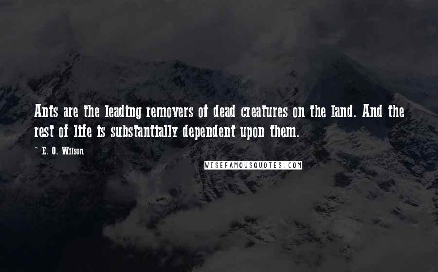 E. O. Wilson Quotes: Ants are the leading removers of dead creatures on the land. And the rest of life is substantially dependent upon them.