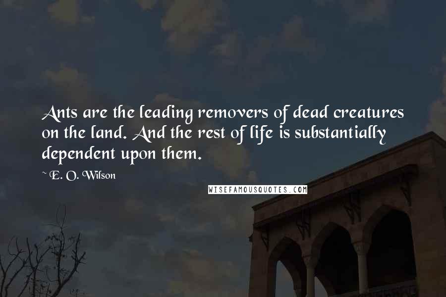 E. O. Wilson Quotes: Ants are the leading removers of dead creatures on the land. And the rest of life is substantially dependent upon them.