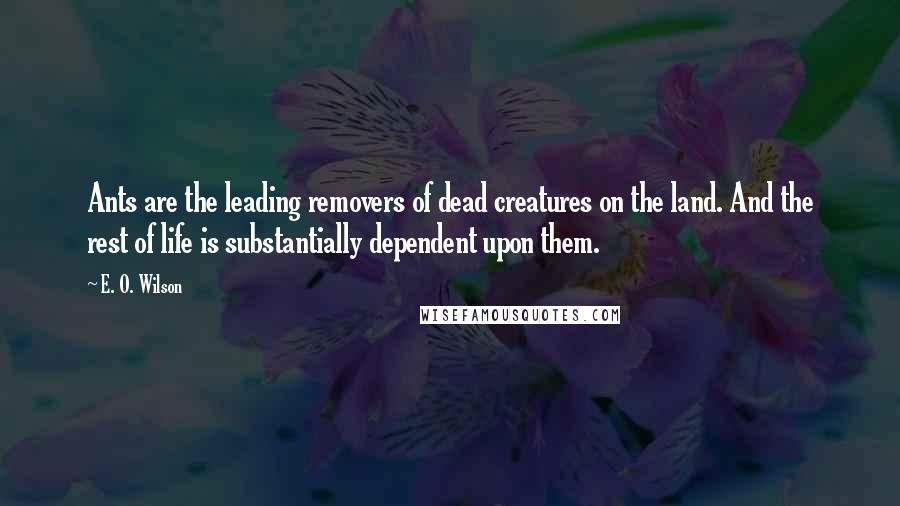 E. O. Wilson Quotes: Ants are the leading removers of dead creatures on the land. And the rest of life is substantially dependent upon them.