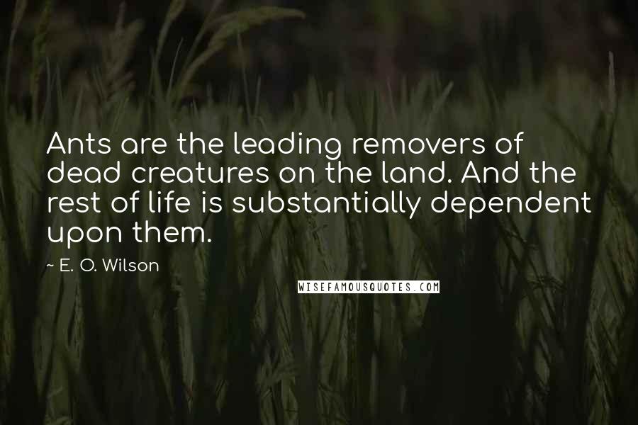 E. O. Wilson Quotes: Ants are the leading removers of dead creatures on the land. And the rest of life is substantially dependent upon them.