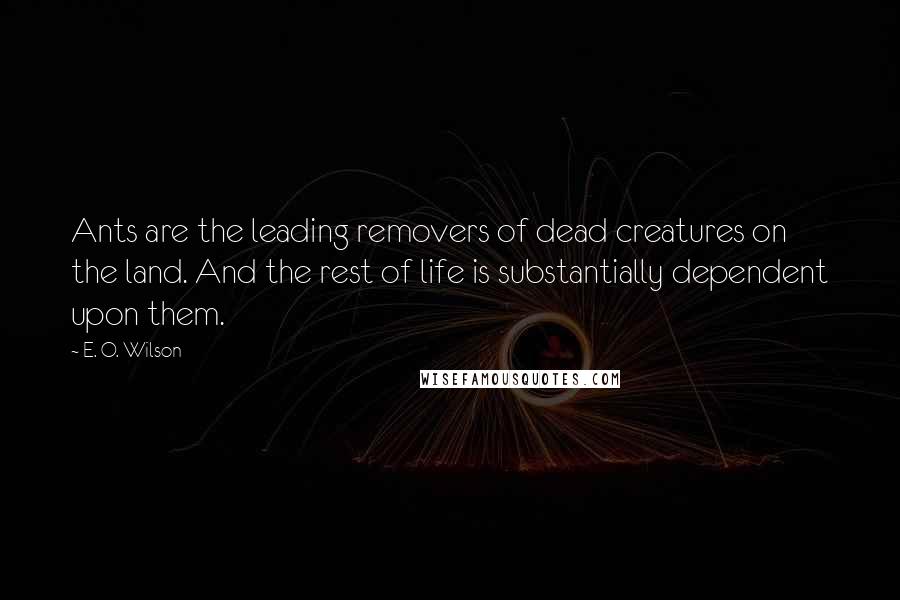 E. O. Wilson Quotes: Ants are the leading removers of dead creatures on the land. And the rest of life is substantially dependent upon them.