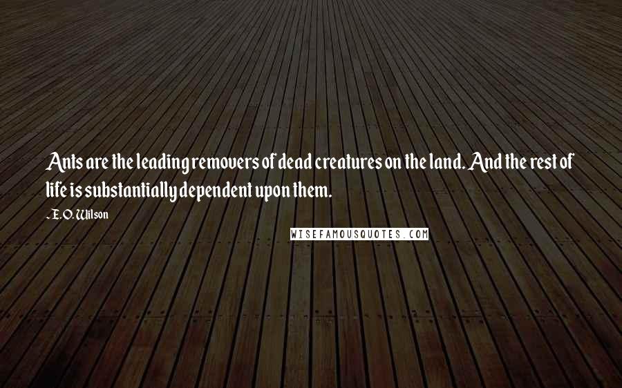 E. O. Wilson Quotes: Ants are the leading removers of dead creatures on the land. And the rest of life is substantially dependent upon them.