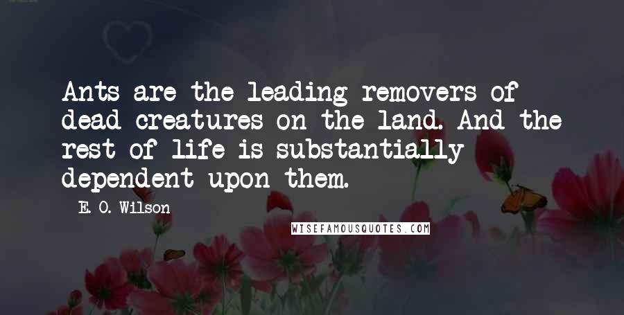 E. O. Wilson Quotes: Ants are the leading removers of dead creatures on the land. And the rest of life is substantially dependent upon them.