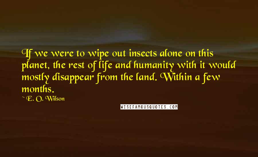 E. O. Wilson Quotes: If we were to wipe out insects alone on this planet, the rest of life and humanity with it would mostly disappear from the land. Within a few months.