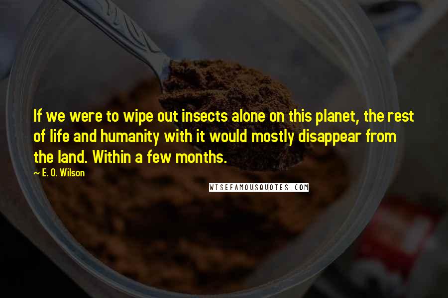 E. O. Wilson Quotes: If we were to wipe out insects alone on this planet, the rest of life and humanity with it would mostly disappear from the land. Within a few months.