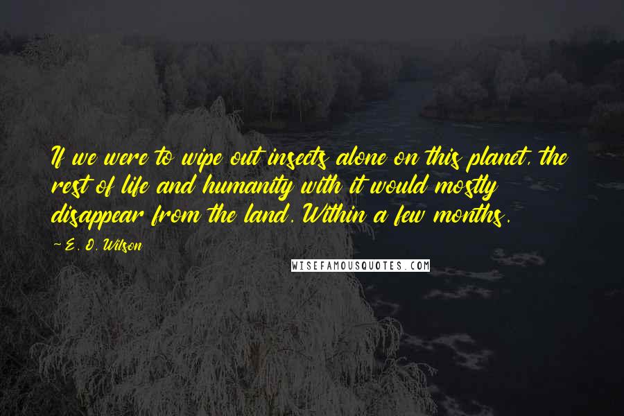 E. O. Wilson Quotes: If we were to wipe out insects alone on this planet, the rest of life and humanity with it would mostly disappear from the land. Within a few months.