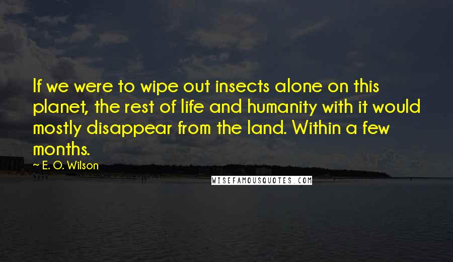 E. O. Wilson Quotes: If we were to wipe out insects alone on this planet, the rest of life and humanity with it would mostly disappear from the land. Within a few months.
