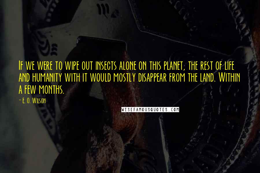 E. O. Wilson Quotes: If we were to wipe out insects alone on this planet, the rest of life and humanity with it would mostly disappear from the land. Within a few months.