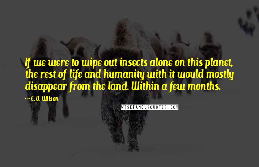 E. O. Wilson Quotes: If we were to wipe out insects alone on this planet, the rest of life and humanity with it would mostly disappear from the land. Within a few months.