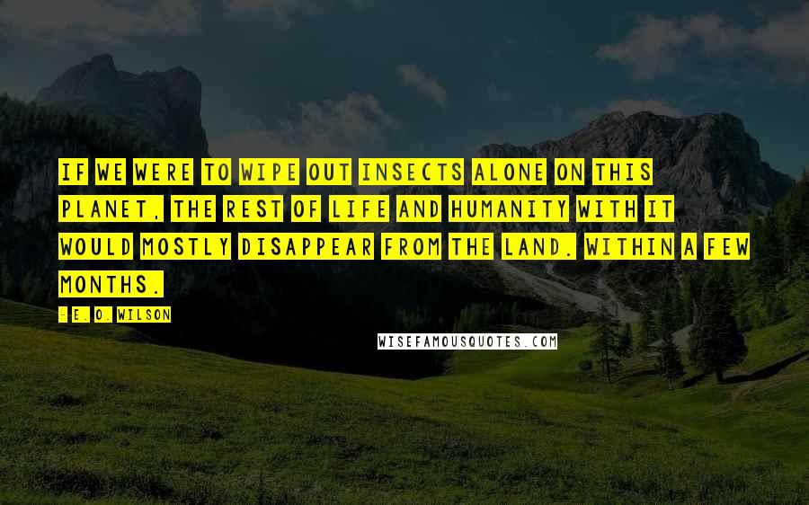 E. O. Wilson Quotes: If we were to wipe out insects alone on this planet, the rest of life and humanity with it would mostly disappear from the land. Within a few months.