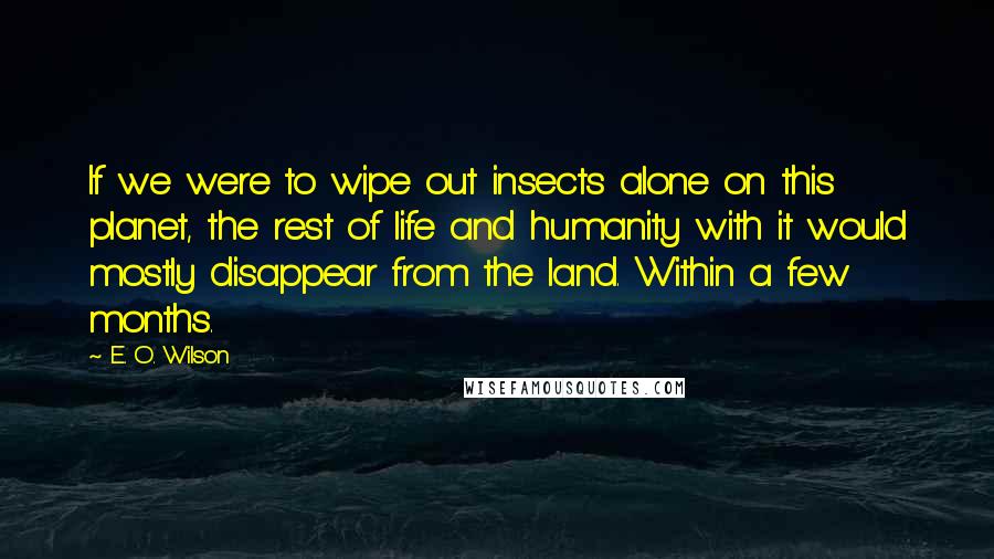 E. O. Wilson Quotes: If we were to wipe out insects alone on this planet, the rest of life and humanity with it would mostly disappear from the land. Within a few months.