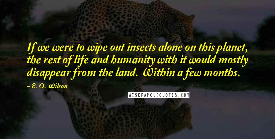 E. O. Wilson Quotes: If we were to wipe out insects alone on this planet, the rest of life and humanity with it would mostly disappear from the land. Within a few months.