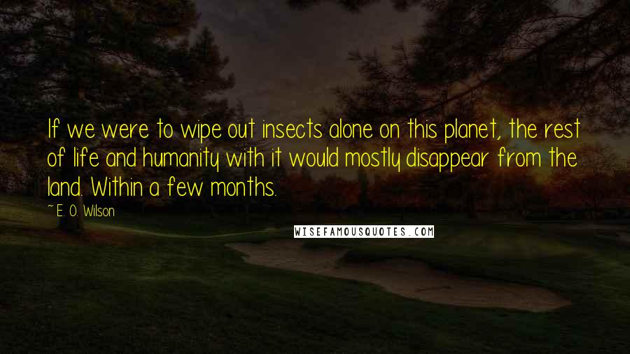 E. O. Wilson Quotes: If we were to wipe out insects alone on this planet, the rest of life and humanity with it would mostly disappear from the land. Within a few months.