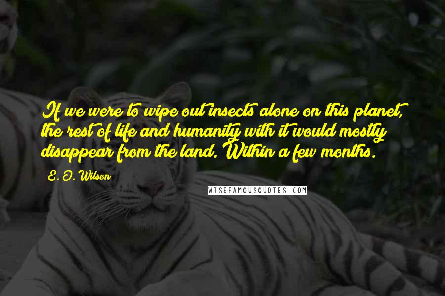 E. O. Wilson Quotes: If we were to wipe out insects alone on this planet, the rest of life and humanity with it would mostly disappear from the land. Within a few months.