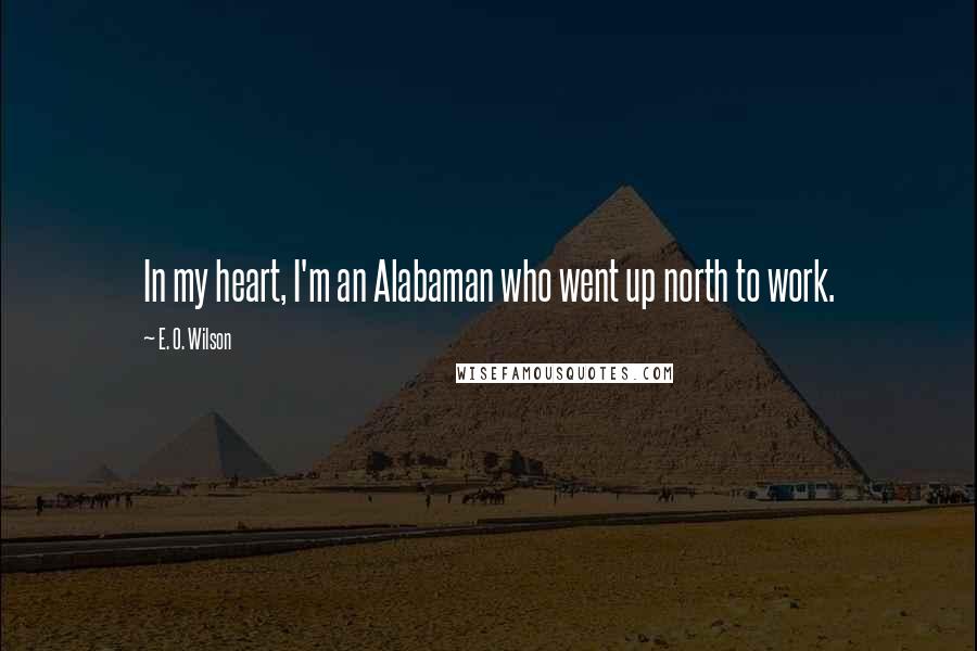 E. O. Wilson Quotes: In my heart, I'm an Alabaman who went up north to work.