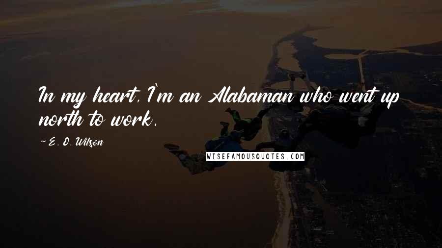 E. O. Wilson Quotes: In my heart, I'm an Alabaman who went up north to work.