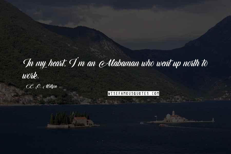 E. O. Wilson Quotes: In my heart, I'm an Alabaman who went up north to work.